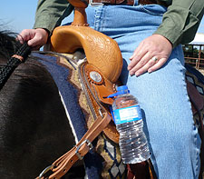 Aqua Clip on Saddle