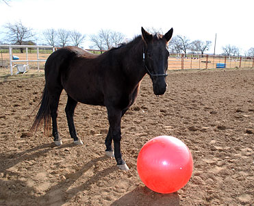 Fun with Ball Example
